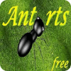 Ant Rts