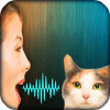 Cat Voice Translator Simulator