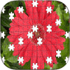 Red Flowers Puzzle