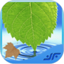 Medicinal Plants &amp; Herbs