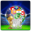 WC cricket flags match