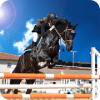 Real Horse Run