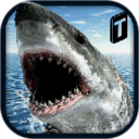 Crazy Shark 3D Sim