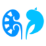 Renal Dose