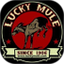 Lucky Mule