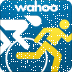 Wahoo Fitness: Workout Tracker