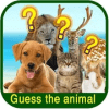 Animal Guessing Puzzle