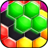 Hexa Block Puzzle Blast 2019