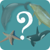 quizz animaux aquatiques