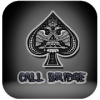 Call Bridge Spades Card