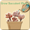 Grow plant