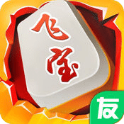 圈友广丰飞宝麻将