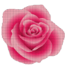 Draw Flower in Pixel art coloring by Number