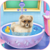 beautiful caring dog game