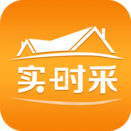 实采