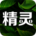 精灵之泉v1.7.6