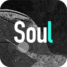 Soulv3.10.0