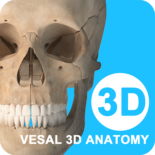 维萨里3D解剖v3.4.3