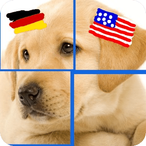 German & Puzzles: Animals