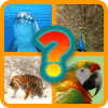 Dieren Quiz