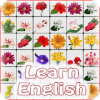 Onet Flower English