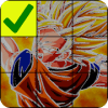 The Super Saiyan Puzzles