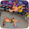 Wrestling WWE Revolution Mayhem Superstar Fighters