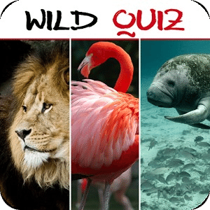 Wild Quiz
