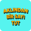 Aklından Bir Sayı Tut