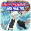 Shinigami Soul Society Sword Fighting