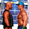 Pro Wrestling Superstar Fight - Wrestling Games