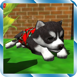 Cute Pocket Puppy 3D