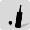 Cricket Game - Sharpen Your Calculative Skill