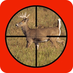 Whitetail Buck Hunter Crossing