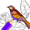 Birds Coloring Book