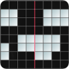 Symmetry Puzzle