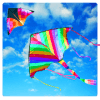 Basant The Kite Fight