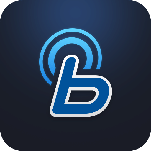 blueLinkv2.61