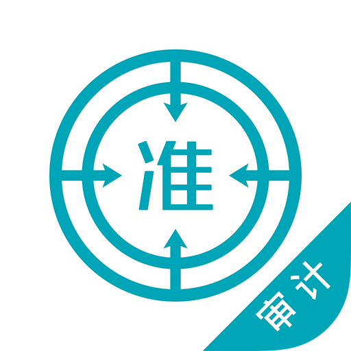 审计师v4.60