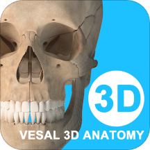 维萨里3D解剖v4.5.0