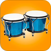 Congas & Bongos