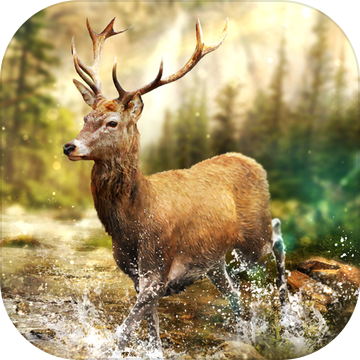 HuntingClash狩猎射击