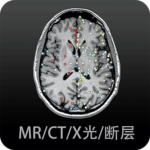 影像解剖图谱v2.0.3