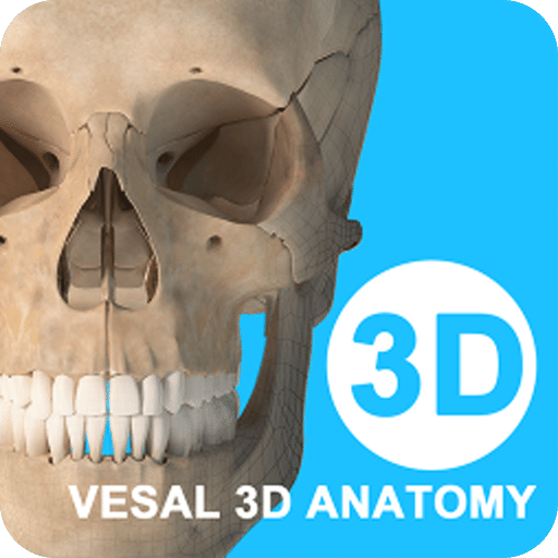 维萨里3D解剖v4.7.1