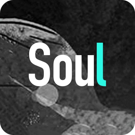 Soulv3.76.0