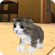 猫咪小猫模拟工艺 Kitten Cat Simulator