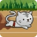 猫之星