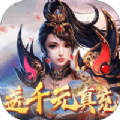 无双魅影
