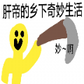 肝帝的坑爹生活