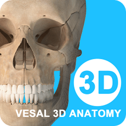 维萨里3D解剖v5.3.1